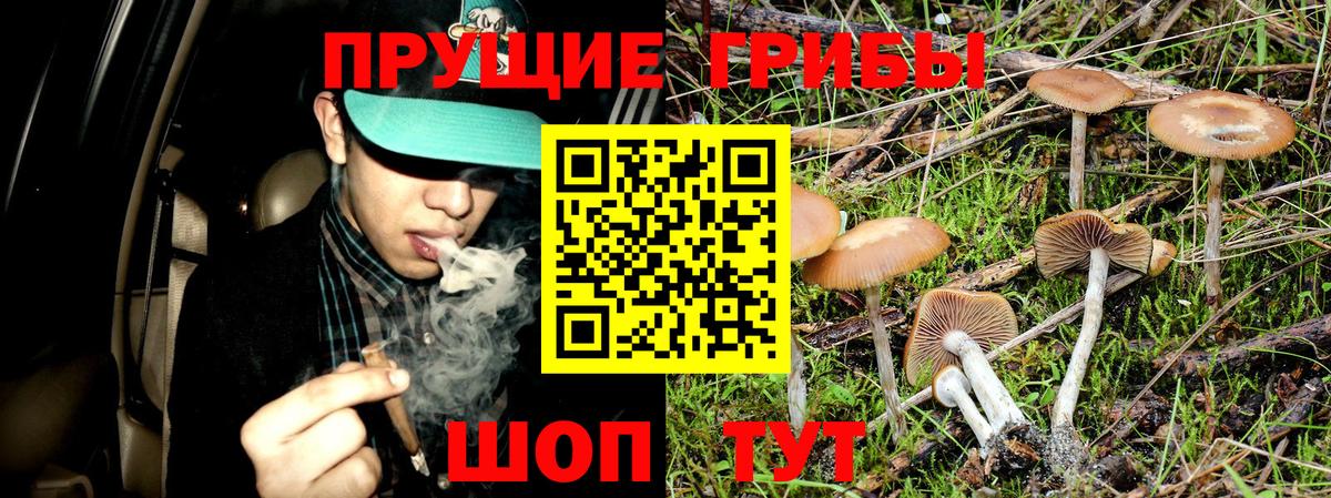 Галлюциногенные грибы мухоморы Ессентуки